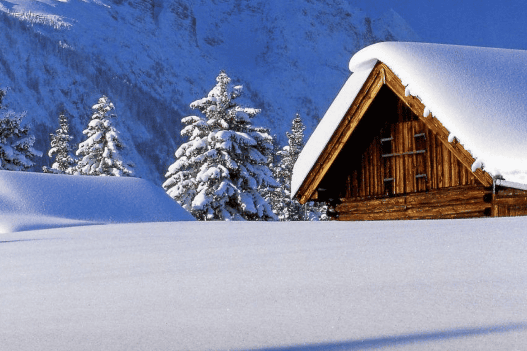 Montana Winter Home Health Check